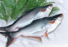 中國進口越南巴沙魚蝦等水產(chǎn)品波動明顯,未來走勢難以預(yù)測！